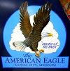 american eagle aircraft airplane brand logo