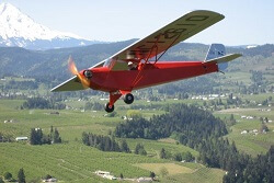 See a 1931 Taylor E-2 Cub at the Western Antique Aeroplane and Automobile Museum. 