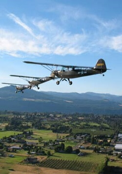 L-Birds flying in Hood River. 